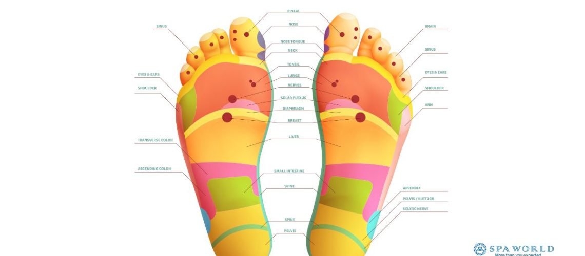 foot reflexology chart